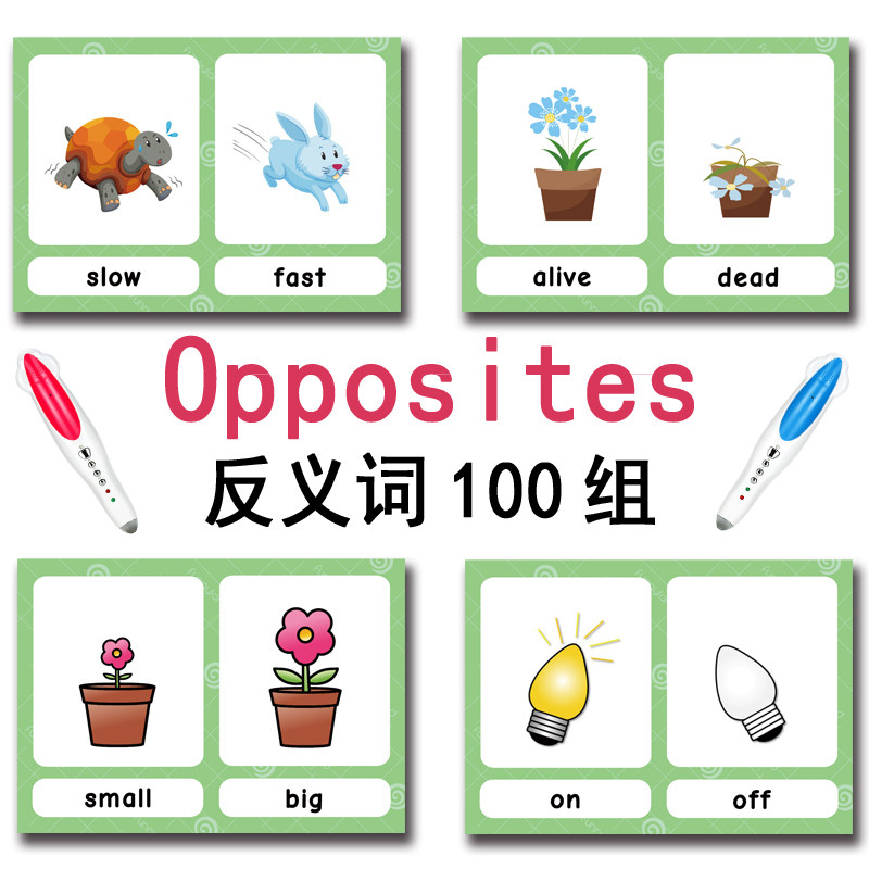 Tarjetas de memoria con 100 gr - Kids Education Toys reseña y precio